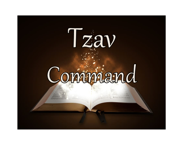 Tzav - Command