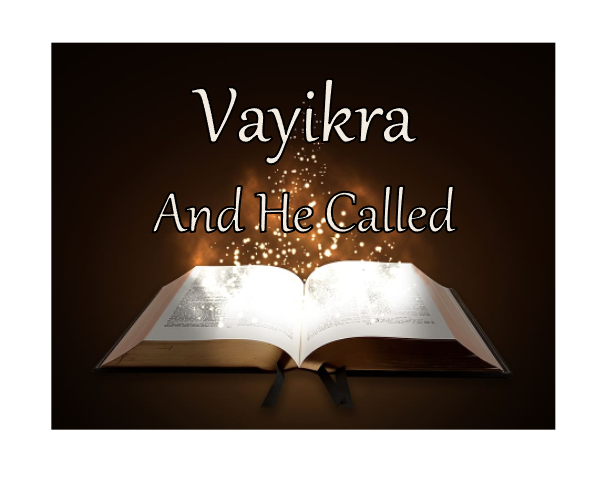 VaYikra - And He Called
