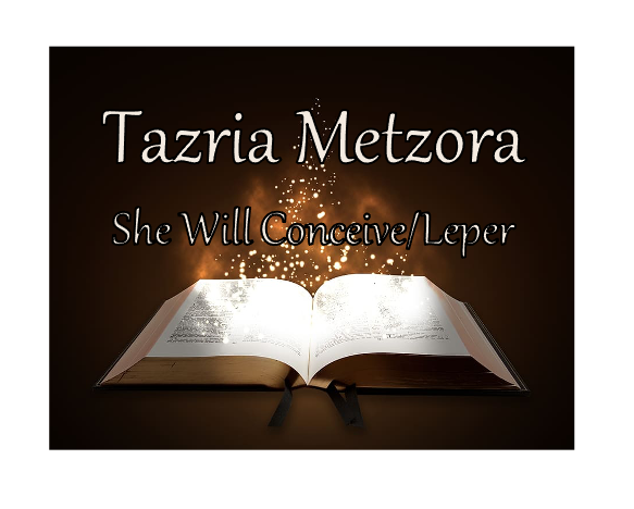 Tazria Metzora - She Will Conceive/Leper