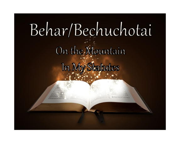 Behar/Bechukotai - On the Mountain/In My Statutes