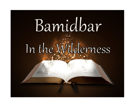 Bamidbar  In the Wilderness