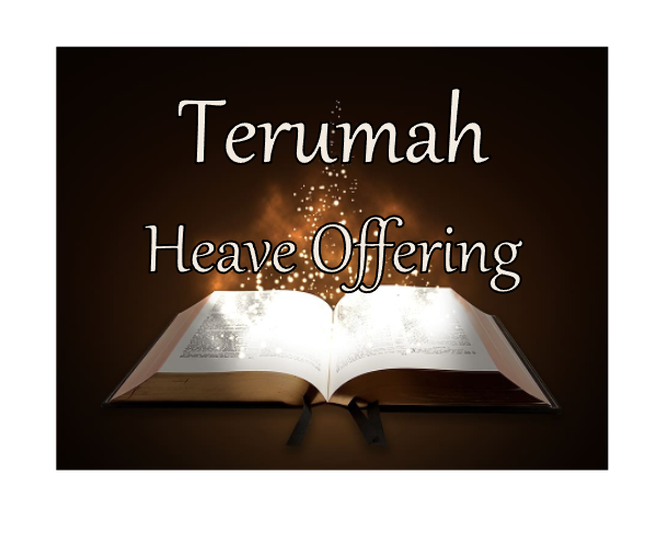 Terumah  Heave Offering (Are We Experiencing God?)